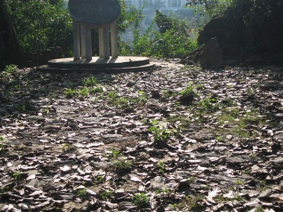 茶马古道兴衰随想