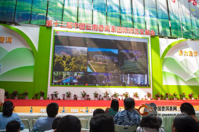 第十三届中国云南普洱茶国际博览交易会成果发布